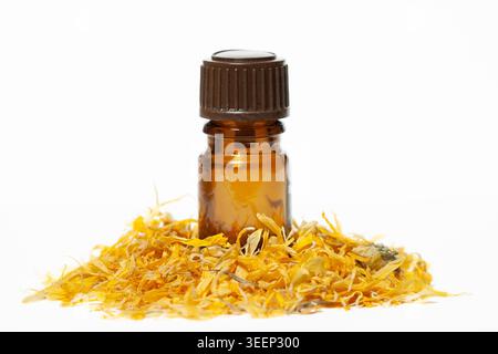 Bottiglia di olio essenziale in vetro ambrato posta in una pila di petali di calendula essiccati isolati su sfondo bianco Foto Stock