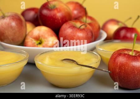 Sano spuntino di frutta salsa di mele in un recipiente di vetro con mele fresche Foto Stock