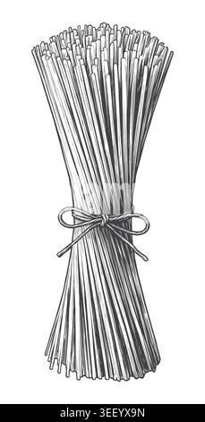 Un'elegante incisione classica di un fascio legato di lunghi spaghetti. Una risorsa commerciale di alto livello per la pubblicità. Illustrazione Vettoriale