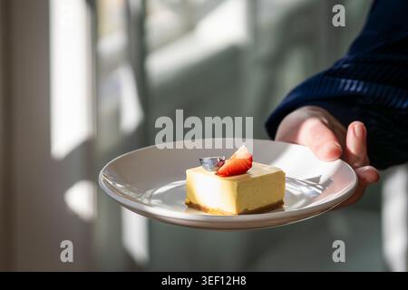 Una mano che regge un piatto con una cremosa cheesecake di mango ricoperta di fragole e mirtilli freschi alla luce del sole. Foto Stock