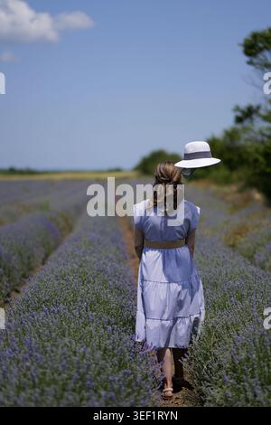Una donna con un abito azzurro cammina lungo un sentiero sterrato tra file di lavanda in fiore sotto un cielo azzurro, tenendo in mano un cappello di paglia bianco e godendosi un Foto Stock