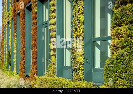 Moderno edificio ecologico con pareti ricoperte di piante verdi verticali Foto Stock