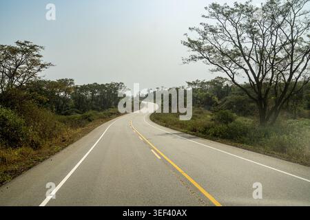 Una strada moderna e tortuosa serpeggia attraverso la fitta vegetazione della savana. L'asfalto grigio con linee gialle e bianche crea un forte contrasto con la g Foto Stock