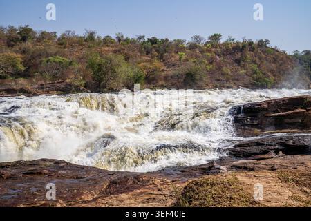 Una vista ravvicinata delle potenti rapide delle cascate Murchison in Uganda. L'acqua bianca schiude attraverso rocce scure sotto un cielo limpido, circondato dal wil Foto Stock