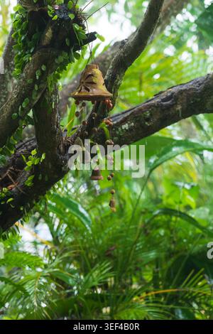 Un primo piano verticale di un campanello decorativo di vento di argilla appeso a un ramo di albero muschiato in un lussureggiante giardino tropicale durante le piogge, nello Sri Lanka. Foto Stock