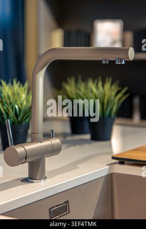 Elegante rubinetto da cucina sul piano di appoggio della luce. Area lavandino moderna con piante e pannelli decorativi. Foto Stock