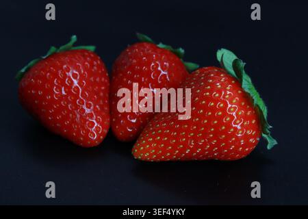 Fragole rosse mature fresche isolate su uno sfondo nero scuro, foto macro-food con texture lucida e dettagli naturali. Foto Stock