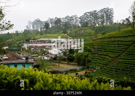 Vista panoramica di un villaggio rurale annidato in una valle circondato da lussureggianti piantagioni di tè verdi su colline terrazzate vicino a Haputale, Sri Lanka Foto Stock