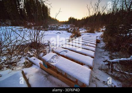 Ponte in legno coperto di neve e sentiero invernale nella foresta canadese a Dusk Foto Stock