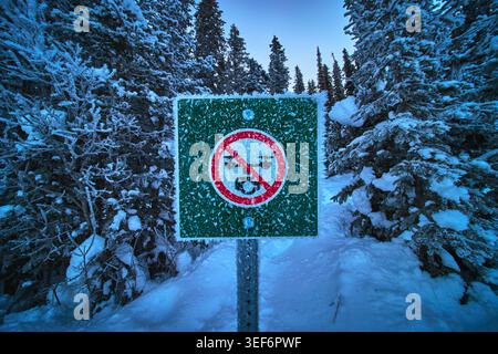 No Drones Sign in Snowy Forest Winter Landscape with Frosted Trees Foto Stock