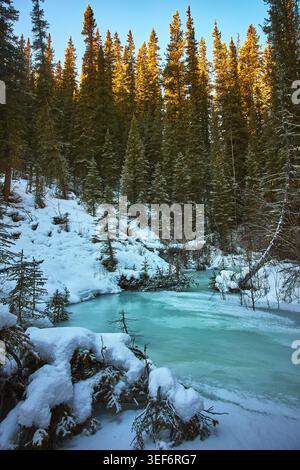 Foresta coperta di neve e fiume ghiacciato alla luce del mattino d'inverno Foto Stock