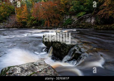 Cascate Redmire sul fiume Ure con rapide che si innalzano intorno alle rocce e boschi colorati che fiancheggiano la gola Foto Stock
