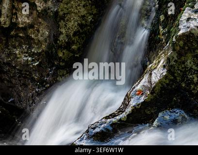 Primo piano di una cascata che cade su rocce ricoperte di licheni con una singola foglia rossa sulla pietra bagnata Foto Stock