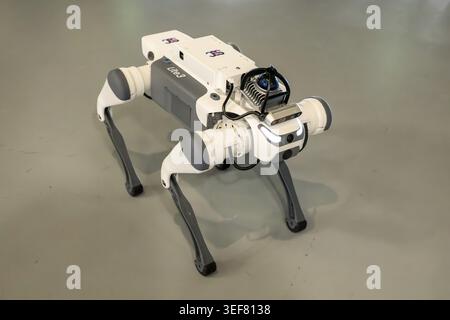 Robot con quattro gambe, Lite3, Berna, Svizzera Foto Stock