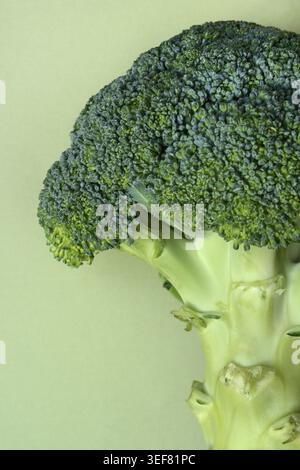 Primo piano di broccoli, Brassica oleracea var. italica Foto Stock
