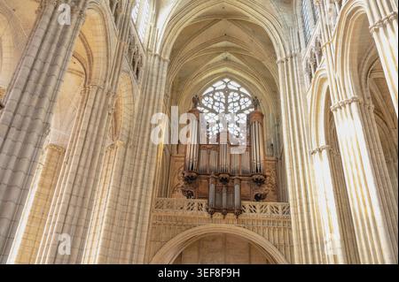 Vista della navata gotica della Cattedrale di Saint-Etienne del grande organo e della luminosa rosa occidentale tra i possenti pilastri a Meaux, Senna Foto Stock