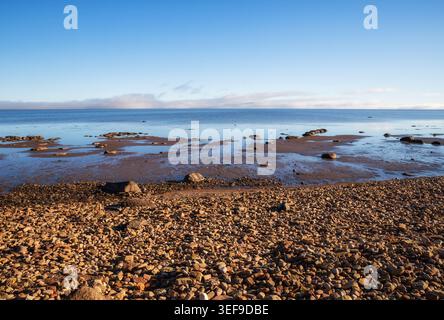 Spiaggia rocciosa sulla riva meridionale del lago Ilmen Foto Stock