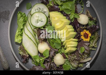 Insalata estiva fresca con cetriolo, melone, avocado e origano fresco servita su piatti di ceramica Foto Stock