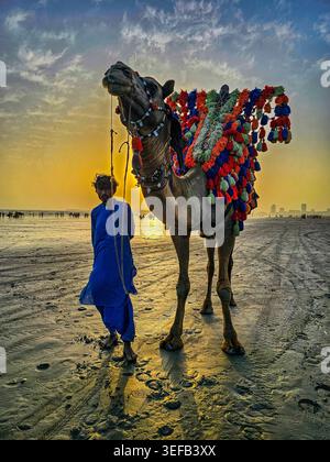 Cammelli colorati camminano sulla spiaggia di Clifton durante il tramonto a Karachi con un gestore nelle vicinanze Foto Stock