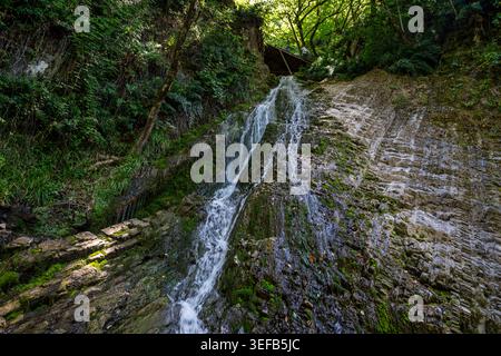 La cascata scorre sulla superficie rocciosa circondata da alberi a Sheki, Azerbaigian durante il giorno, in un ambiente naturale Foto Stock