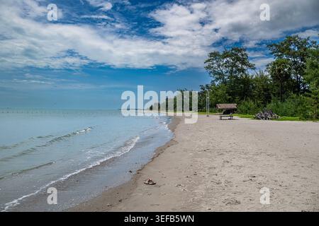 I visitatori apprezzano la spiaggia di Casuarina in una giornata di sole nel quartiere di Jaffna, Sri Lanka, con cieli limpidi e onde dolci Foto Stock