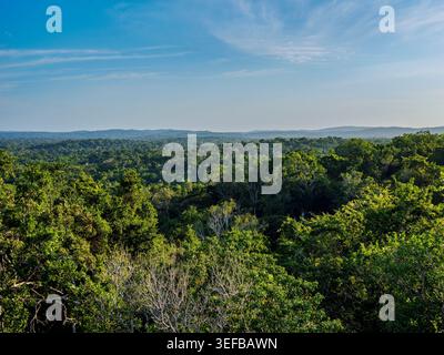 Vista elevata della foresta pluviale vicino a Tikal che mostra un fitto fogliame nel dipartimento di Peten, Guatemala Foto Stock