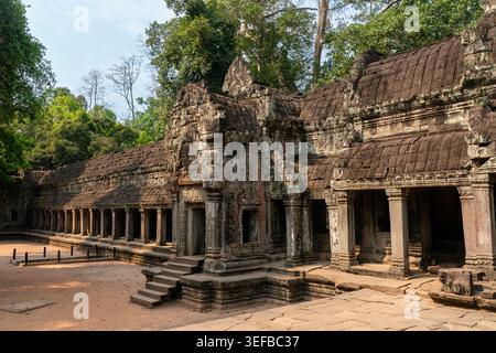 Esplorando le antiche strutture in pietra del tempio Ta Prohm ad Angkor, in Cambogia Foto Stock
