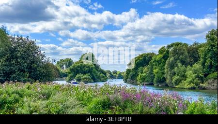 Vista di un paesaggio sul Tamigi in estate, Richmond, Londra, Regno Unito Foto Stock