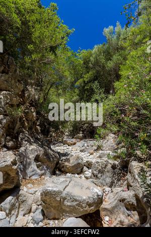 Vista dall'angolo basso della gola di Kritsa che mostra ripide scogliere e lussureggianti alberi verdi Foto Stock