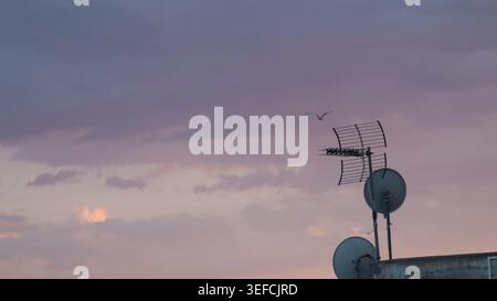 Silhouette minimalista di antenne televisive e parabole satellitari sul tetto di un edificio residenziale contro un bellissimo cielo viola e rosa crepuscolo A. Foto Stock