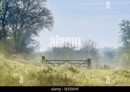 Nebbia di prima mattina sulla campagna rurale con cancello in legno e erba coperta di rugiada che creano un soffice bokeh in primo piano, Somerset Levels, Regno Unito Foto Stock