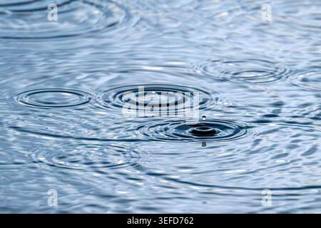Goccioline d'acqua sospese e forti ondulazioni circolari causate dall'impatto delle gocce di pioggia sulla superficie dell'acqua a Ham Wall, Somerset Levels, Regno Unito Foto Stock