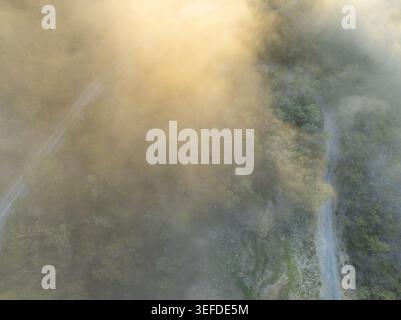 Vista aerea della fitta nebbia e della luce dorata del mattino sulla foresta e sulle strade tortuose vicino al lago artificiale Kangaroo Creek nell'Adelaide Hills Council, South Aus Foto Stock