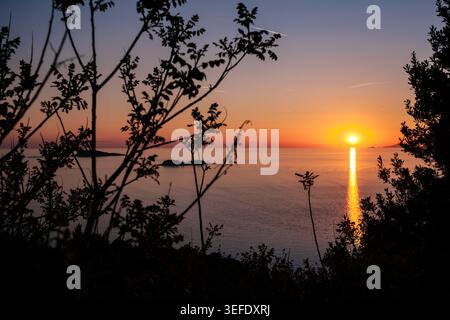 Uno splendido tramonto sul calmo mare Adriatico, incorniciato da piante sagomate, crea una scena tranquilla. Foto Stock
