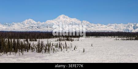 Vista aerea di Denali e Alaska Range con ampia taiga nell'Alaska centro-meridionale. Foto Stock