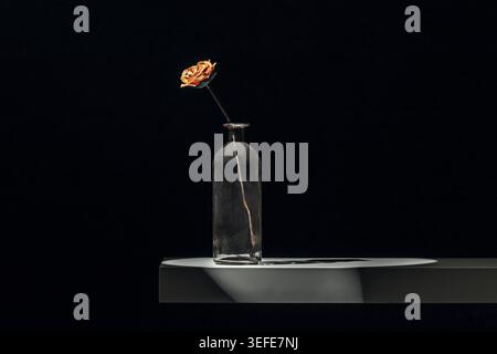 Piccola pianta a campana in plastica con steli sottili e flessibili, collocata in un vaso di vetro smerigliato con sabbia decorativa all'interno Foto Stock