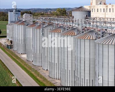 Veduta aerea di una fila di grandi silos di grano argentato in un impianto agricolo industriale vicino a una strada rurale e campi verdi sotto un cielo limpido Foto Stock