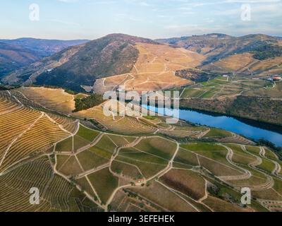 Ampia vista panoramica all'alba sulla valle del fiume Douro e sulle colline terrazzate dei vigneti nella valle del Douro in Portogallo. Foto Stock