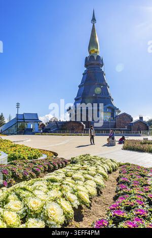 Colorate aiuole di fiori con luminoso letto di fiori di cavolo ornamentale viola e bianco (Brassica oleracea) di fronte alla pagoda reale, la nazione Doi Inthanon Foto Stock
