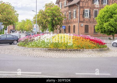 Letto rotondo con fiori colorati in un angolo di strada in primavera, Sindelfingen, quartiere di Boeblingen, Germania Foto Stock
