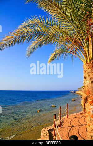Vista panoramica della costa con palme e mare blu cristallino in una giornata di sole Foto Stock