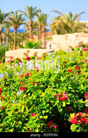 Oasi tropicale: Fiori vivaci e palme sul mare Foto Stock
