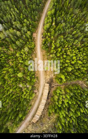 Veduta aerea di una strada forestale curva attraverso pinete, con un loggiato su un lato Foto Stock