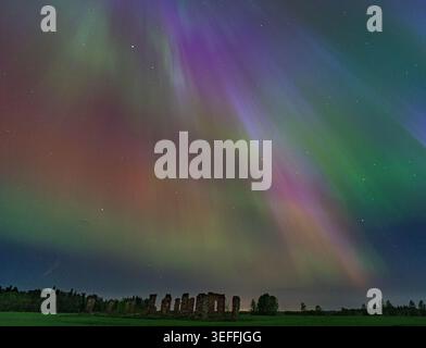 Aurora boreale che riempie il cielo sopra le rovine di un vecchio maniero a Krimulda, Lettonia Foto Stock