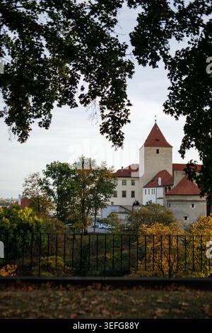 Storica Torre Daliborka in pietra a Praga vista attraverso gli alberi Foto Stock