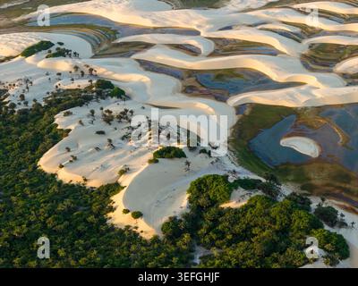 Vista aerea delle dune di sabbia bianca e delle lagune turchesi del Parque Nacional dos Lencois Maranhenses, che confina con una lussureggiante foresta verdeggiante di Lencois Maranhenses Foto Stock