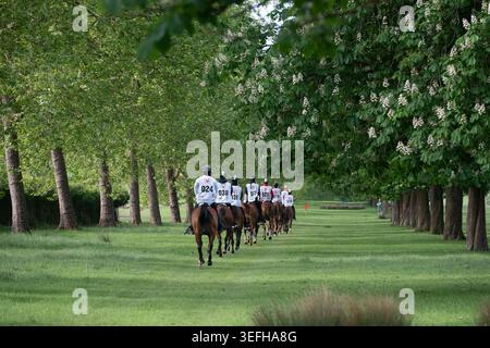 Windsor, Berkshire, Regno Unito. 15 maggio 2026. Cavalli e cavalieri sono in partenza al Windsor Great Park questa mattina a Windsor, Berkshire, partecipando alla Royal Windsor Endurance Race. Crediti: Maureen McLean/Alamy Live News Foto Stock