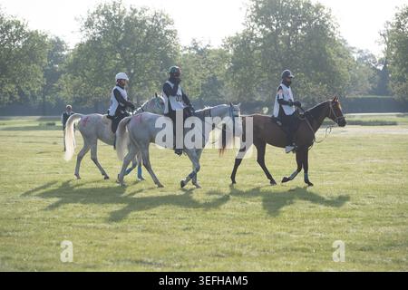 Windsor, Berkshire, Regno Unito. 15 maggio 2026. Cavalli e cavalieri sono in partenza al Windsor Great Park questa mattina a Windsor, Berkshire, partecipando alla Royal Windsor Endurance Race. Crediti: Maureen McLean/Alamy Live News Foto Stock