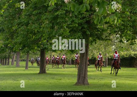 Windsor, Berkshire, Regno Unito. 15 maggio 2026. Cavalli e cavalieri sono in partenza al Windsor Great Park questa mattina a Windsor, Berkshire, partecipando alla Royal Windsor Endurance Race. Crediti: Maureen McLean/Alamy Live News Foto Stock