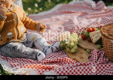 Il bambino seduto su una coperta da picnic rossa di Vichy mangiando uva accanto al formaggio e un cestino di vimini Foto Stock